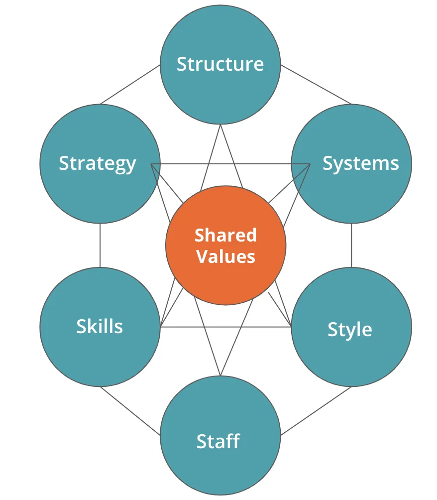 McKinsey's 7-S model